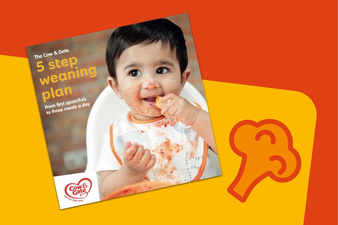 Baby Weaning | Stages Of Weaning | CG Baby Club